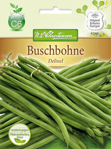 Samen - Buschbohne Delinel: (Bildbeschreibung ist in Arbeit)