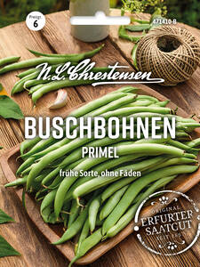 Dekoratives Vorschaubild des Artikels "Buschbohne Primel" (Bildbeschreibung ist in Arbeit)