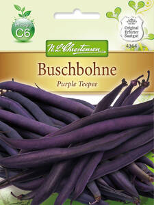Samen - Buschbohne Purple Teepee