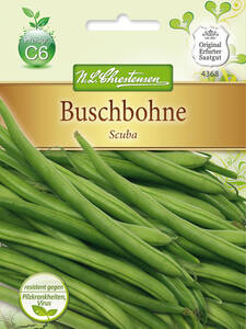 Samen - Buschbohne Scuba: (Bildbeschreibung ist in Arbeit)