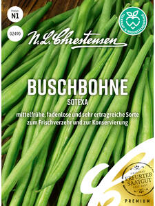 Buschbohne Sotexa: (Bildbeschreibung ist in Arbeit)