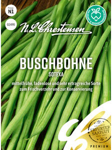 Samen - Buschbohne Sotexa