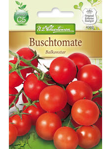Balkonpflanzen - Buschtomate Balkonstar: (Bildbeschreibung ist in Arbeit)