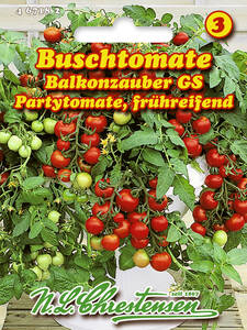 Balkonpflanzen - Buschtomate Balkonzauber: (Bildbeschreibung ist in Arbeit)