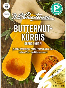 Samen - Butternutkrbis Orange Nut, F1