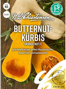 Krbissamen - Butternutkrbis Orange Nut, F1: (Bildbeschreibung ist in Arbeit)