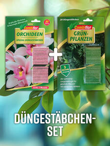 Combiflor Dngestbchen-Set fr Orchideen und Grnpflanzen