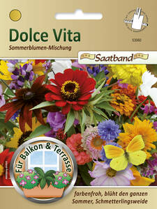 Samen - Dolce Vita Sommerblumen-Mischung: (Bildbeschreibung ist in Arbeit)