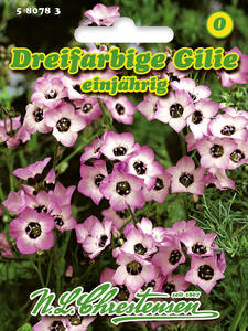 Samen - Dreifarbige Gilie: (Bildbeschreibung ist in Arbeit)