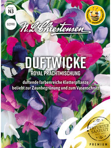 Samen - Duftwicke Royal Prachtmischung