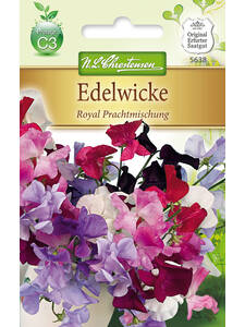 Samen - Edelwicke Royal Prachtmischung: (Bildbeschreibung ist in Arbeit)