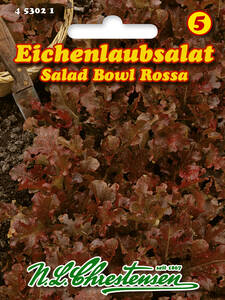 Samen - Eichenlaubsalat Salad bowl rossa: (Bildbeschreibung ist in Arbeit)
