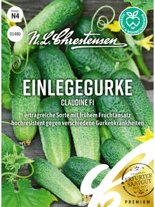 Gurkensamen - Einlegegurke Claudine, F1: (Bildbeschreibung ist in Arbeit)