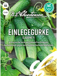 Gurkensamen - Einlegegurke Claudine, F1