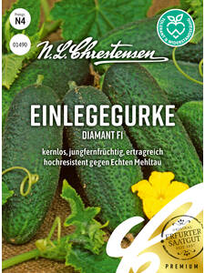 Gurkensamen - Einlegegurke Diamant, F1: (Bildbeschreibung ist in Arbeit)