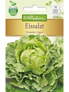 Samen - Eissalat Grandes Lagos: (Bildbeschreibung ist in Arbeit)