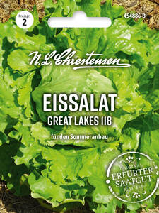 Dekoratives Vorschaubild des Artikels "Eissalat Great Lakes 118" (Bildbeschreibung ist in Arbeit)