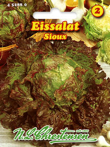 Salatsamen - Eissalat Sioux: (Bildbeschreibung ist in Arbeit)