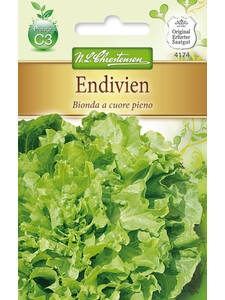 Salatsamen - Endivien Bionda a cuore pieno: (Bildbeschreibung ist in Arbeit)