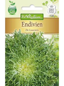 Salatsamen - Endivien De Louviers: (Bildbeschreibung ist in Arbeit)
