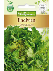 Salatsamen - Endivien Escariol grner: (Bildbeschreibung ist in Arbeit)