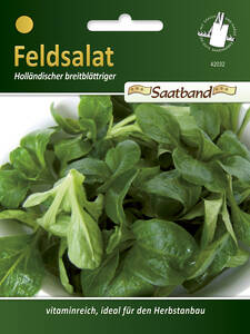 Samen - Feldsalat Hollndischer breitblttriger: (Bildbeschreibung ist in Arbeit)