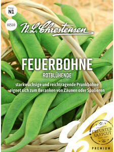 Samen - Feuerbohne Rotblhende: (Bildbeschreibung ist in Arbeit)