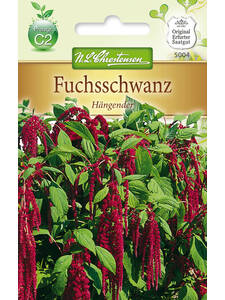 Samen - Fuchsschwanz Hngender: (Bildbeschreibung ist in Arbeit)