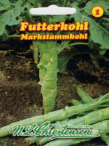Samen - Futterkohl Markstammkohl Proven: (Bildbeschreibung ist in Arbeit)