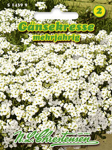 Samen - Gnsekresse: (Bildbeschreibung ist in Arbeit)