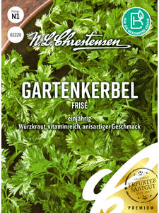 Samen - Gartenkerbel Fris