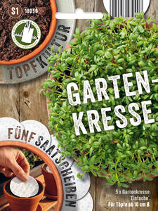 Samen - Gartenkresse Einfache - Saatscheiben: (Bildbeschreibung ist in Arbeit)