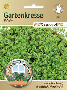 Gartenkresse-Samen - Gartenkresse Einfache: (Bildbeschreibung ist in Arbeit)