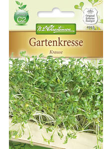 Gartenkresse-Samen - Gartenkresse Krause: (Bildbeschreibung ist in Arbeit)