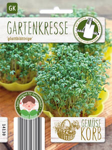 Gartenkresse glattblttrige