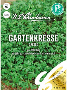 Gartenkresse groblttrig Cresso