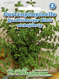 Samen - Gartenpimpinelle Quedlinburger Blatt: (Bildbeschreibung ist in Arbeit)
