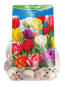 Dekoratives Vorschaubild des Artikels "Gefllte-Tulpen-Mix" (Bildbeschreibung ist in Arbeit)