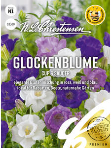Samen - Glockenblume Cup & Saucer: (Bildbeschreibung ist in Arbeit)