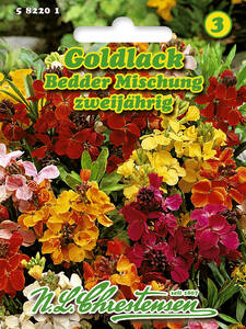 Samen - Goldlack Bedder Mischung: (Bildbeschreibung ist in Arbeit)