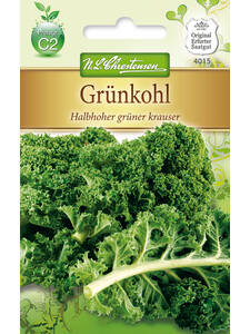 Grnkohl-Samen - Grnkohl Halbhoher grner krauser: (Bildbeschreibung ist in Arbeit)