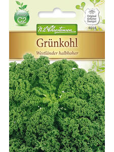 Grnkohl-Samen - Grnkohl Westlnder halbhoher: (Bildbeschreibung ist in Arbeit)