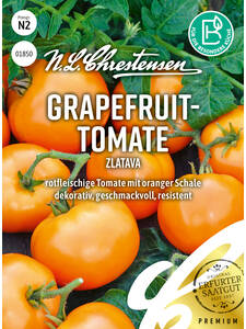 Tomatensamen - Grapefruit-Tomate Zlatava