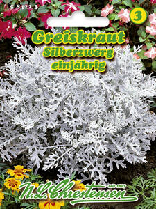 Samen - Greiskraut Silberzwerg: (Bildbeschreibung ist in Arbeit)