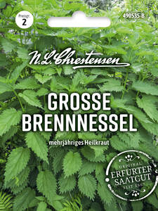 Dekoratives Vorschaubild des Artikels "Groe Brennnessel" (Bildbeschreibung ist in Arbeit)