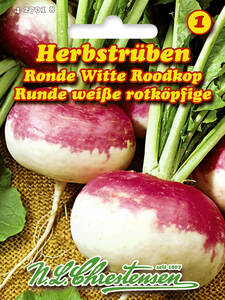 Samen - Herbstrbe Ronde Witte Roodkop: (Bildbeschreibung ist in Arbeit)