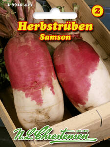 Samen - Herbstrbe Samson: (Bildbeschreibung ist in Arbeit)