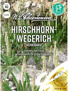 Samen - Hirschhornwegerich