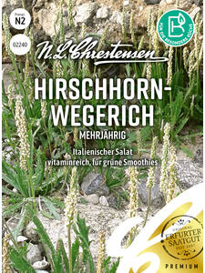 Samen - Hirschhornwegerich: (Bildbeschreibung ist in Arbeit)