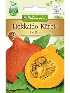 Samen - Hokkaido-Krbis Red Kuri: (Bildbeschreibung ist in Arbeit)